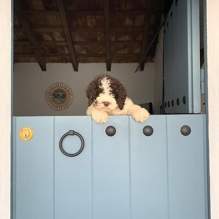 Вілла La Puerta Azul Борнос Екстер'єр фото